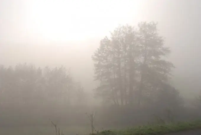 In quale programma aggiungere nebbia a un video clip