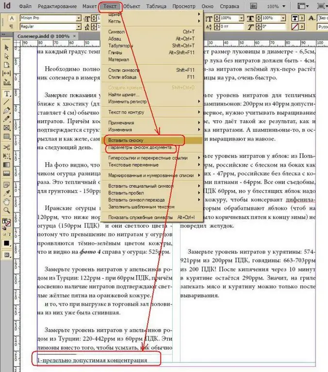 Cara membuat nota kaki di Indesign