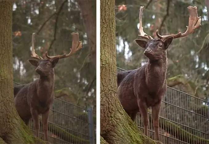 Malo uređivanja u Photoshopu može dramatično poboljšati vašu fotografiju