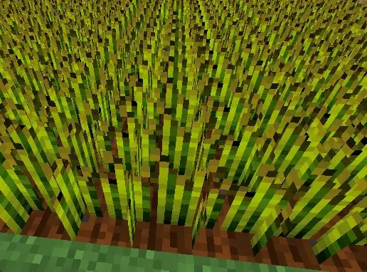 Grano in Minecraft