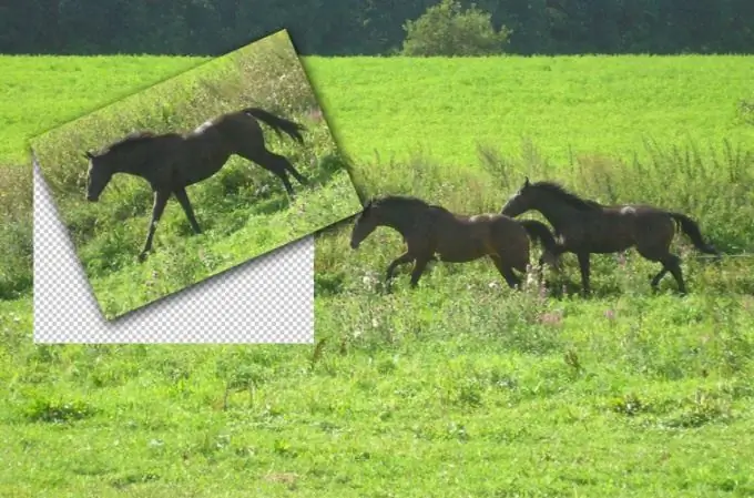 Wie man ein Bild aus einem Video ausschneidet