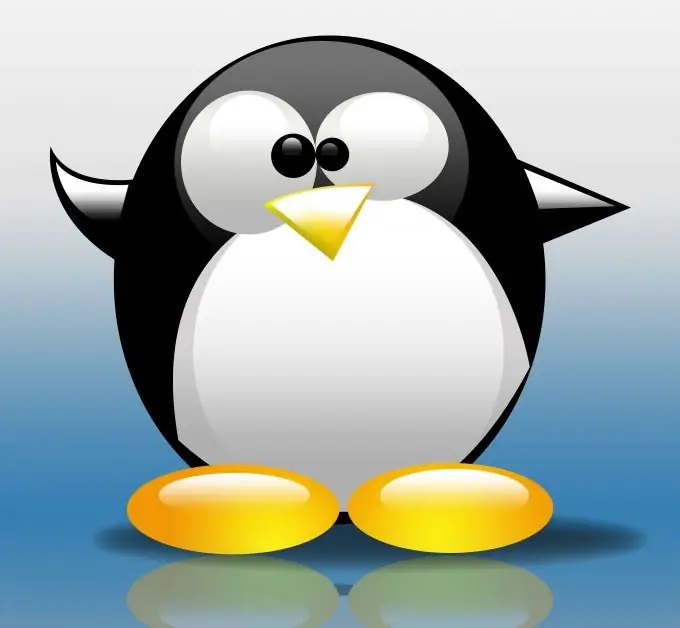 Com gravar Linux al disc