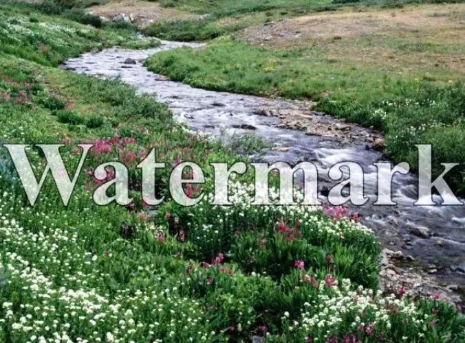 Cómo marcar una foto con una marca de agua