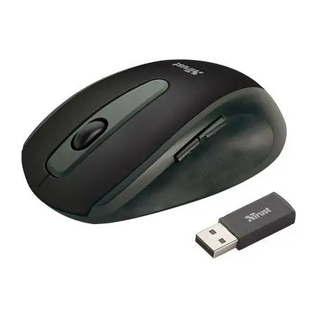 flash card and computer mouse