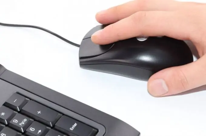 Come disabilitare un mouse su un laptop