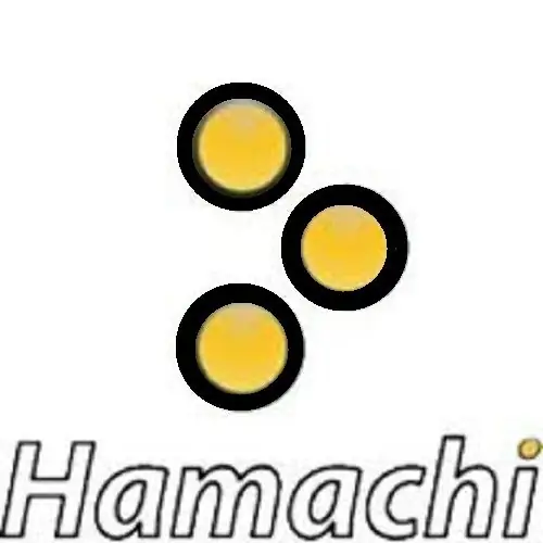 Cómo configurar hamachi