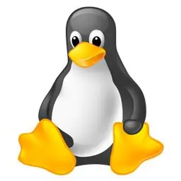 Kuinka asentaa Linux USB-tikulle