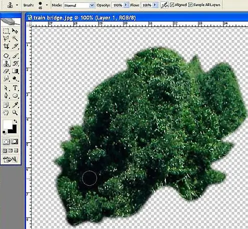 How to cut pictures in Photoshop