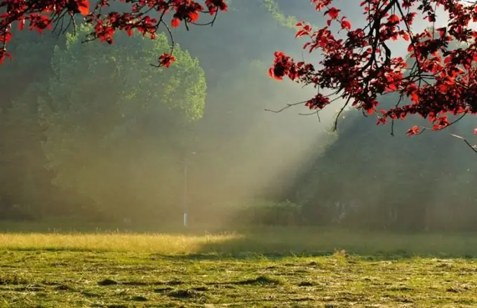 Come disegnare i raggi del sole