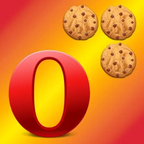 Hoe cookies te wissen in Opera