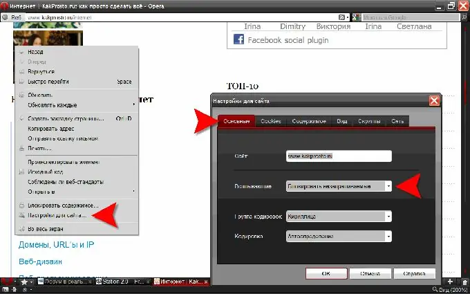 Opera: prilagajanje spletnim mestom