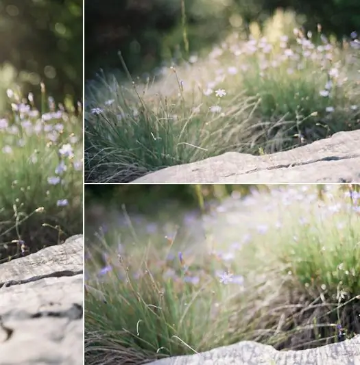 Kvalita fotografie závisí od jej formátu