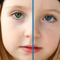 Changer la couleur des yeux: comment travailler dans Photoshop