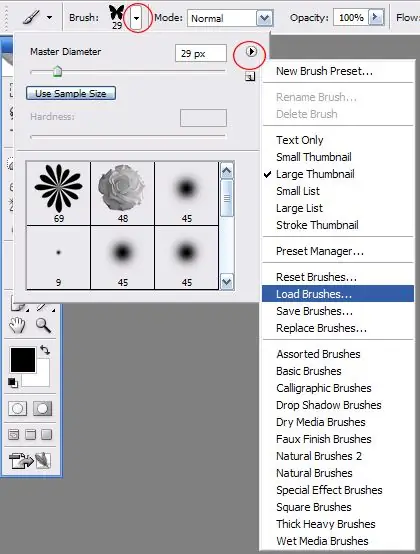 How to load brushes