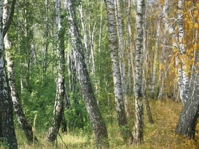 Kako istaknuti masku