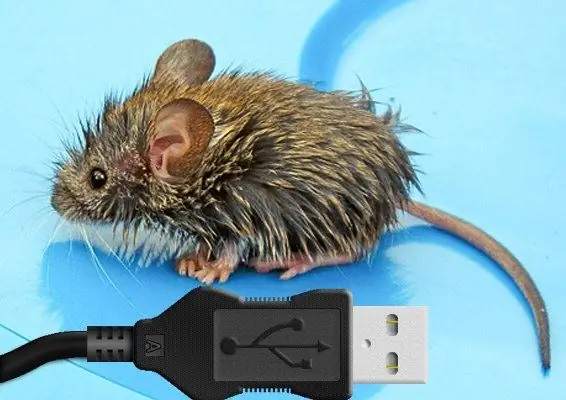 Com connectar un ratolí USB