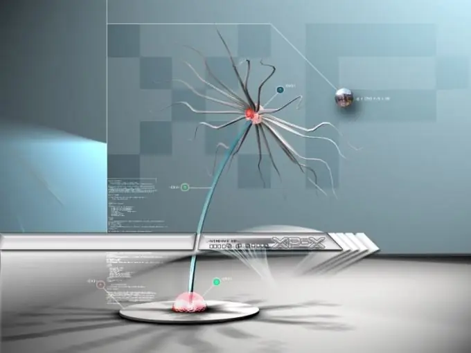 So aktivieren Sie das SSL-Protokoll